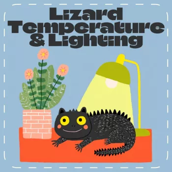 Heat & UVB Checklist: Safe Lizard Temps and Lighting